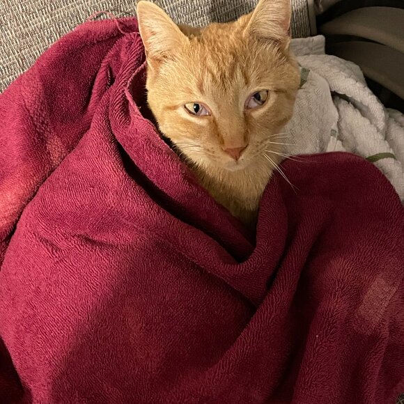 Meet your Posher - Alexis :-) - Picture 3 of 6